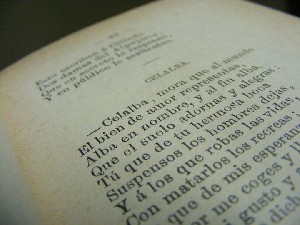 biblioteca 031 copy.jpg